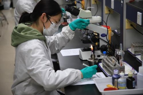 第九屆達(dá)承杯醫(yī)學(xué)檢驗(yàn)技術(shù)專業(yè)本科生技能大賽圓滿落幕，技術(shù)研發(fā)成果顯著